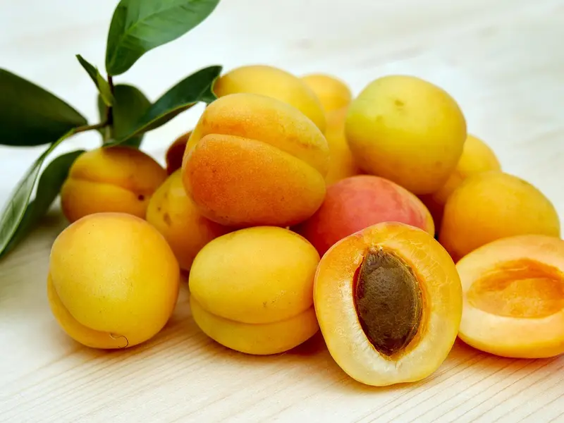 Albaricoques
