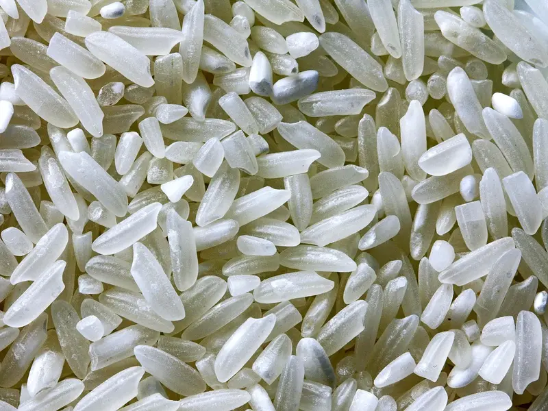 Arroz blanco crudo visto de cerca