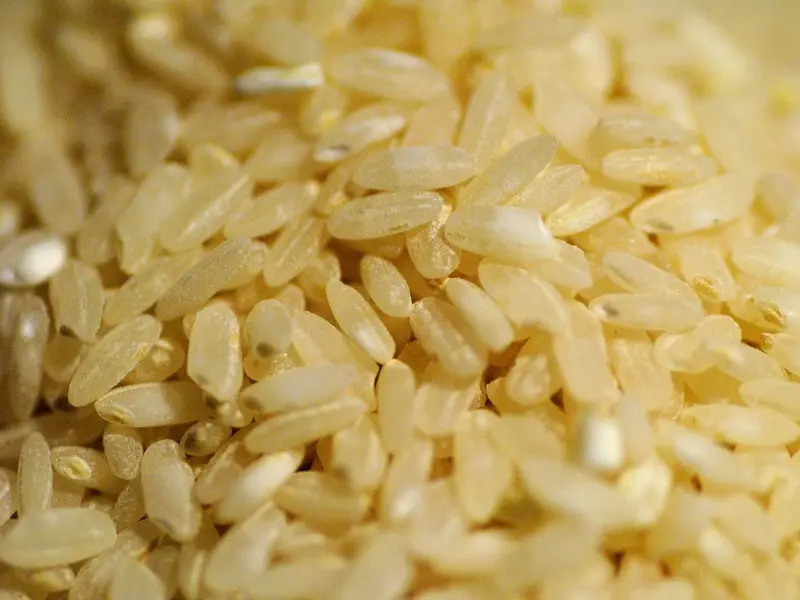 Granos de arroz integral crudo, de cerca
