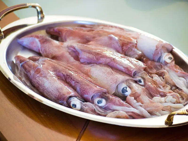 Calamares frescos crudos