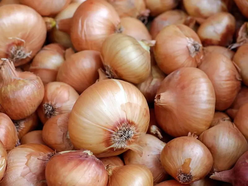 Cebollas
