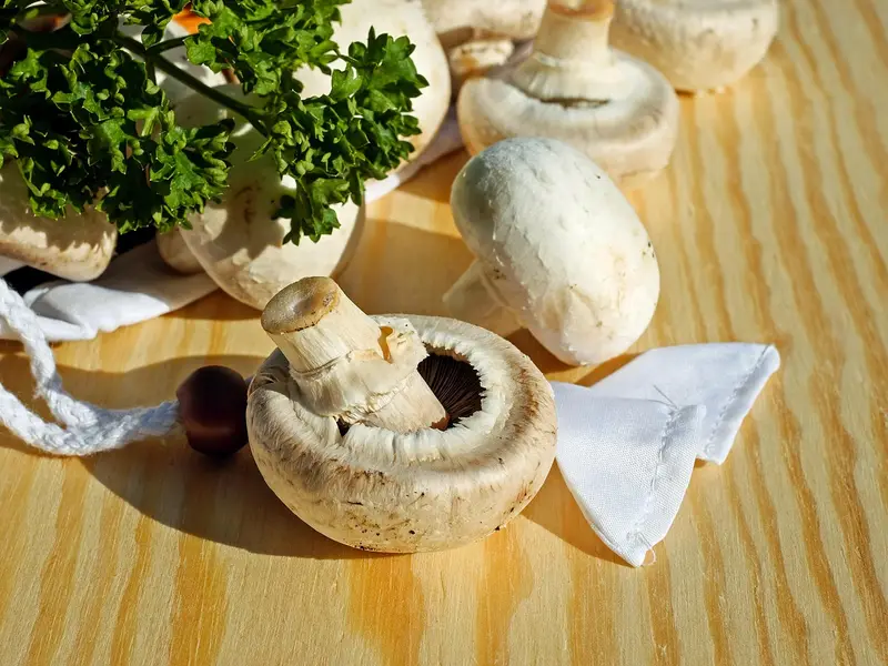 Champiñones blancos frescos