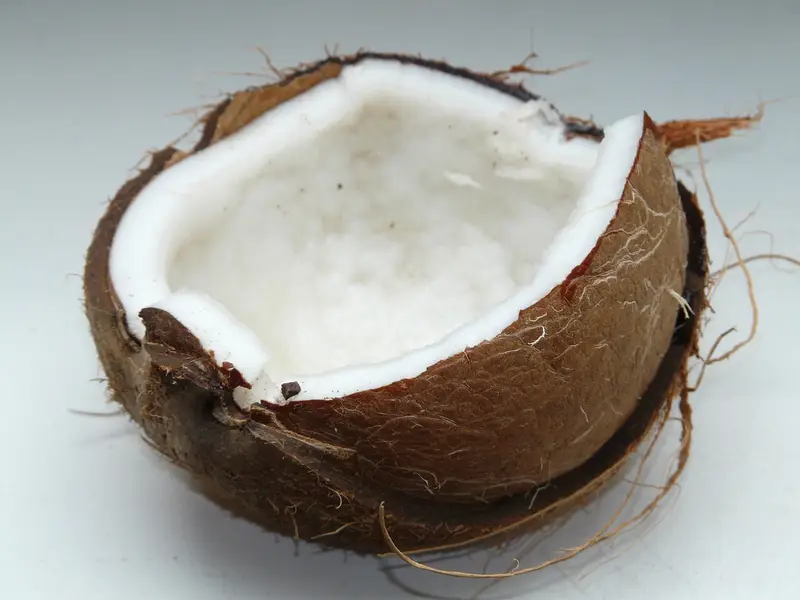 Coco abierto