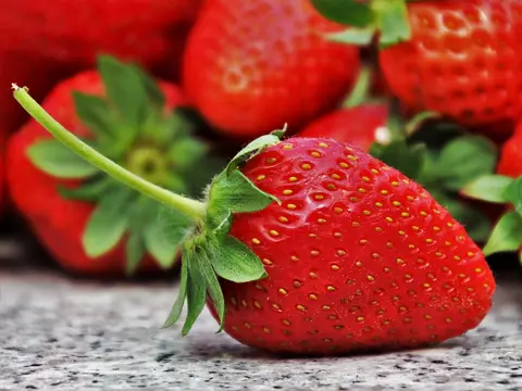 Fresas
