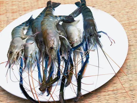 Langostinos crudos en un plato