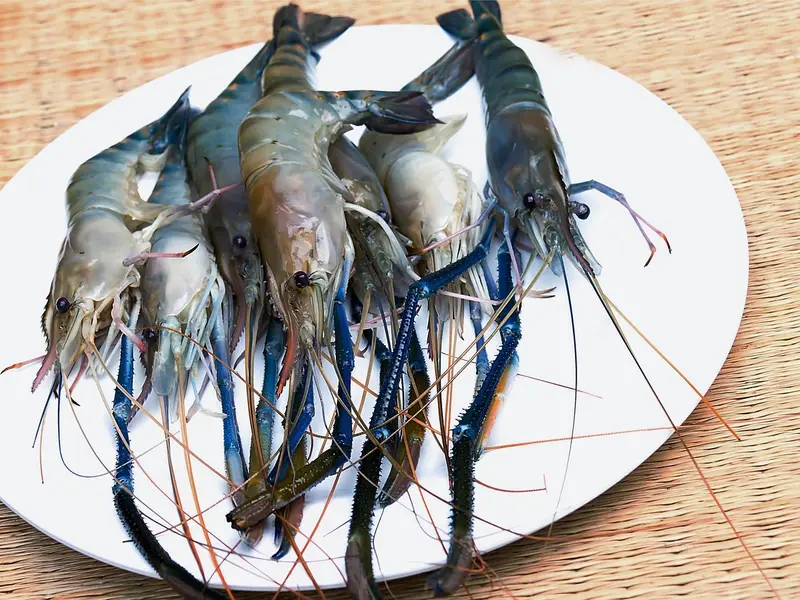 Langostinos crudos en un plato