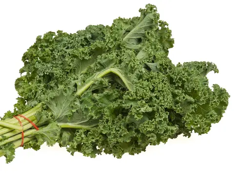 Hojas de kale