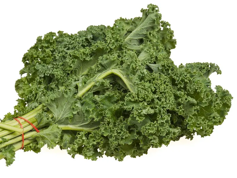 Hojas de kale