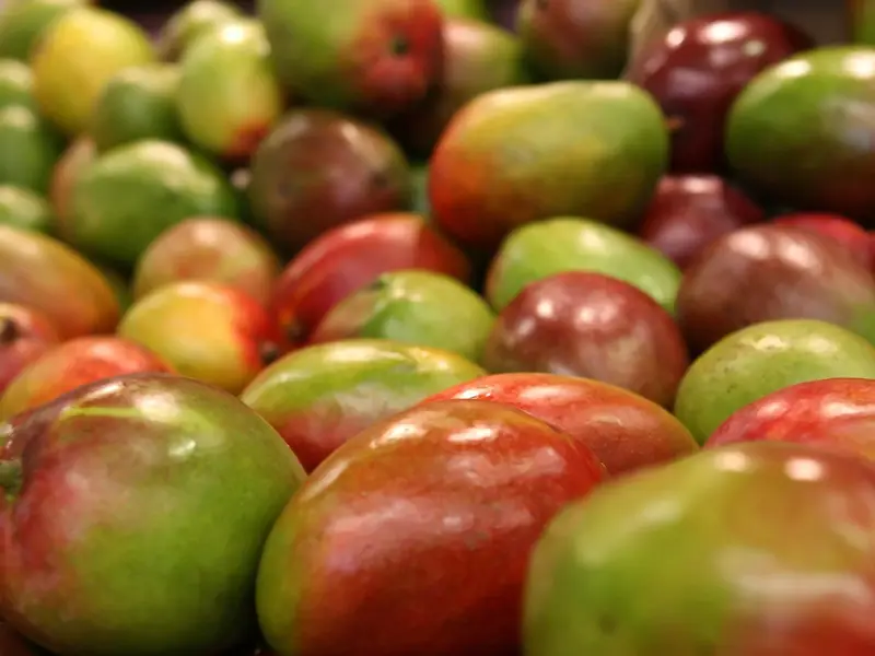 Mango