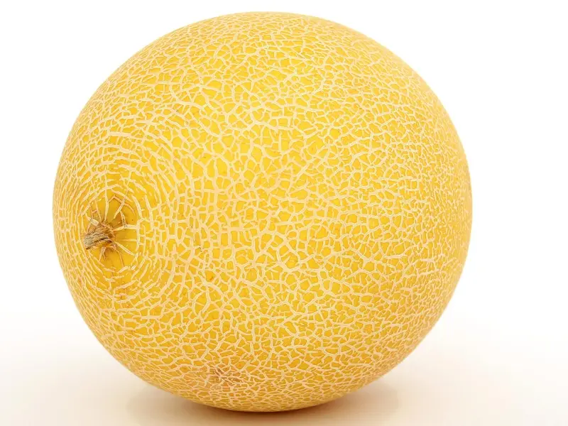 Melón